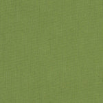 Spectrum Cilantro - Fabricforhome.com - Your Online Destination for Drapery and Upholstery Fabric