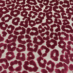 Fat Cat Fuschia - Fabricforhome.com - Your Online Destination for Drapery and Upholstery Fabric