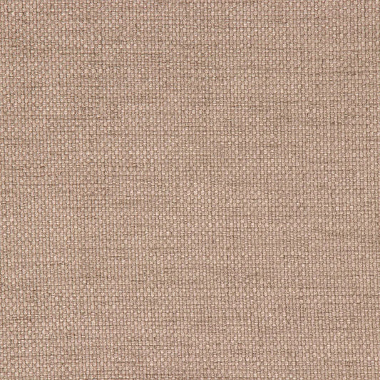 Harpswell Pecan