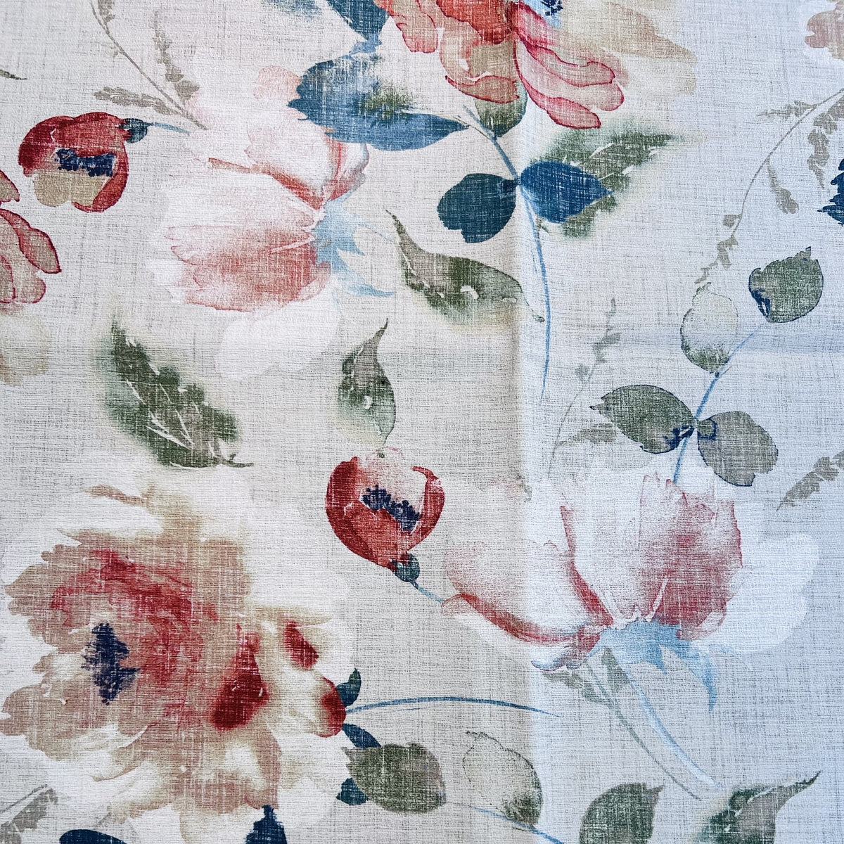 Whitehaven Antique Rose