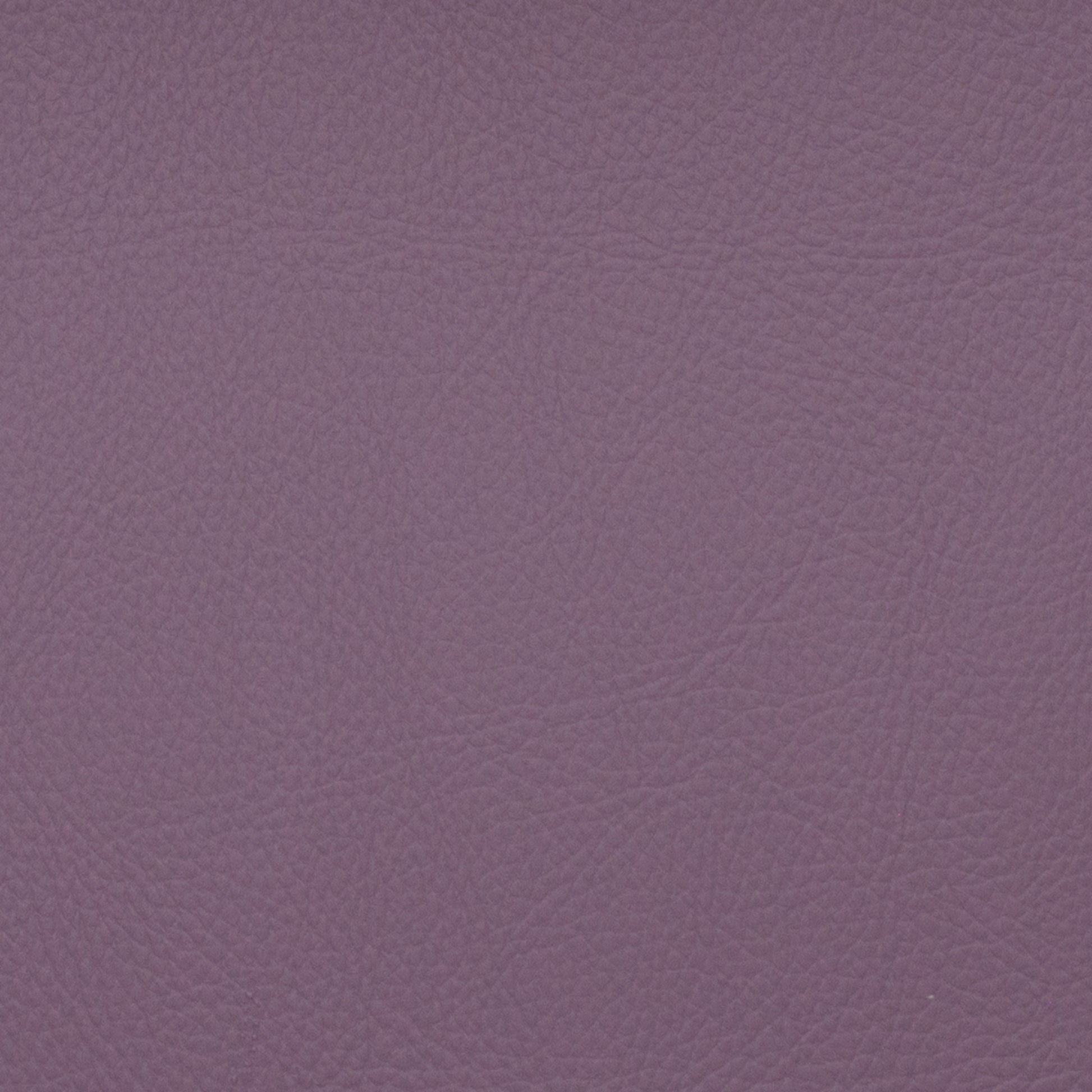 Voyager Allium - Fabricforhome.com