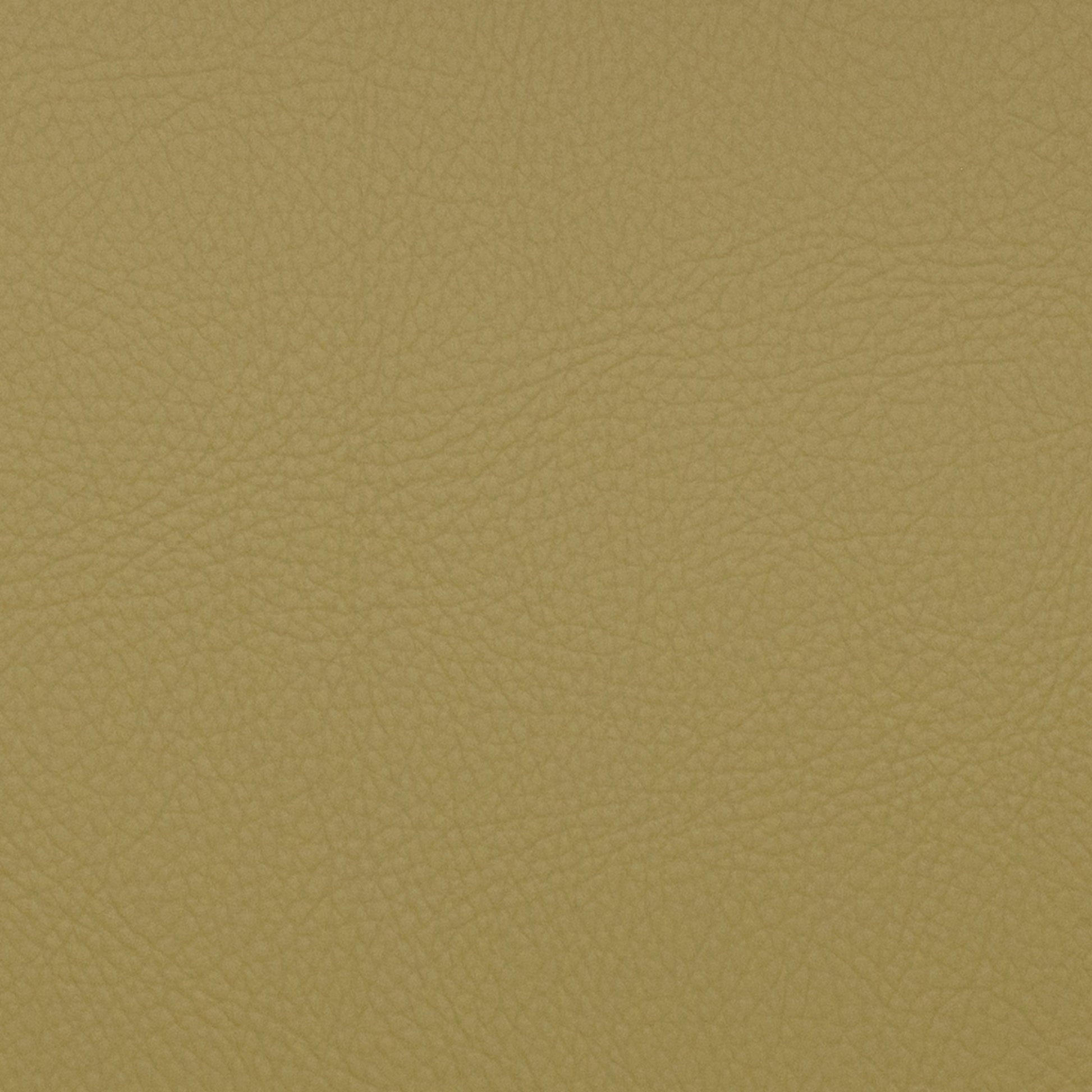 Voyager Aloe - Fabricforhome.com