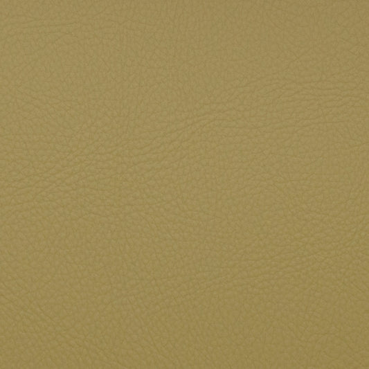 Voyager Aloe - Fabricforhome.com