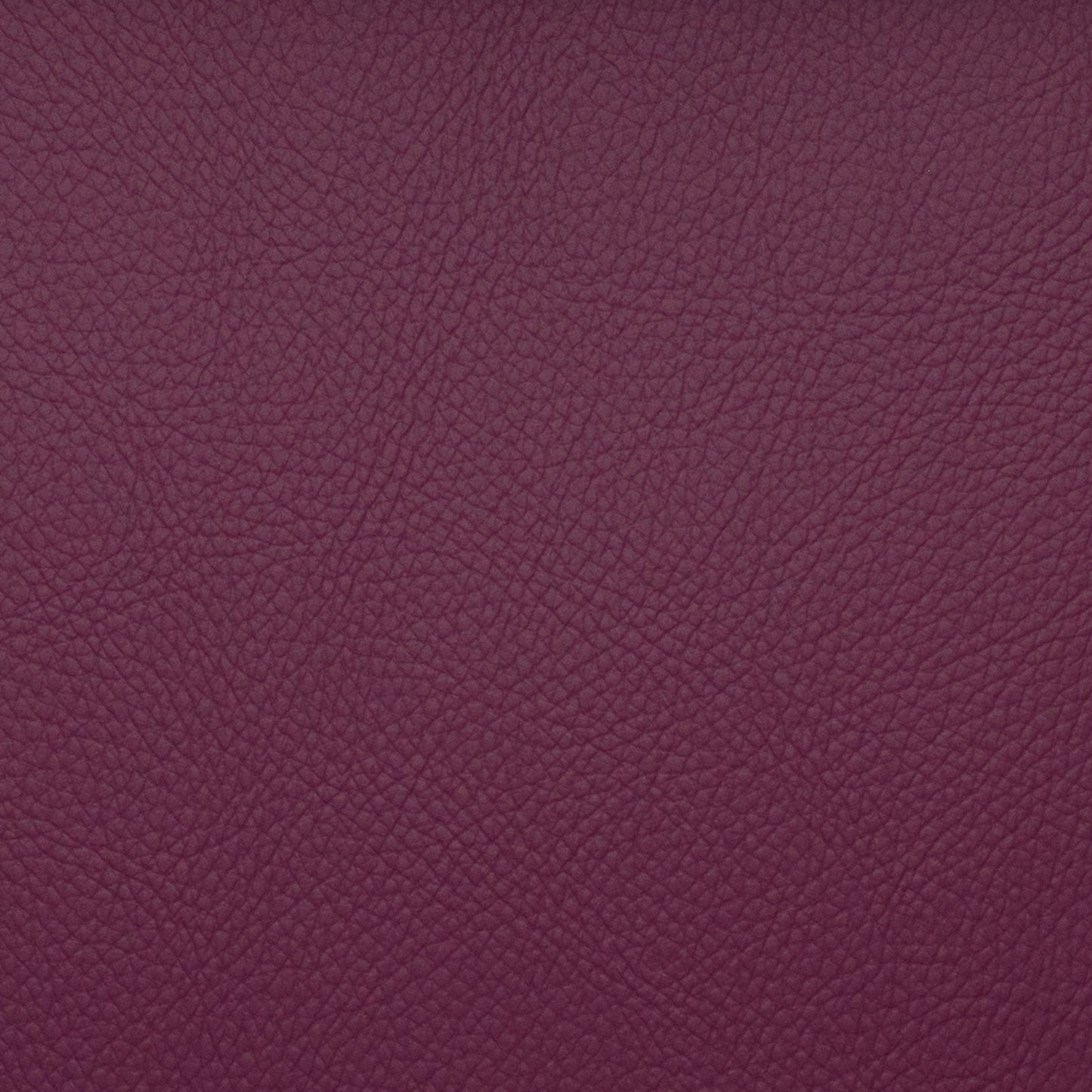 Voyager Beet - Fabricforhome.com