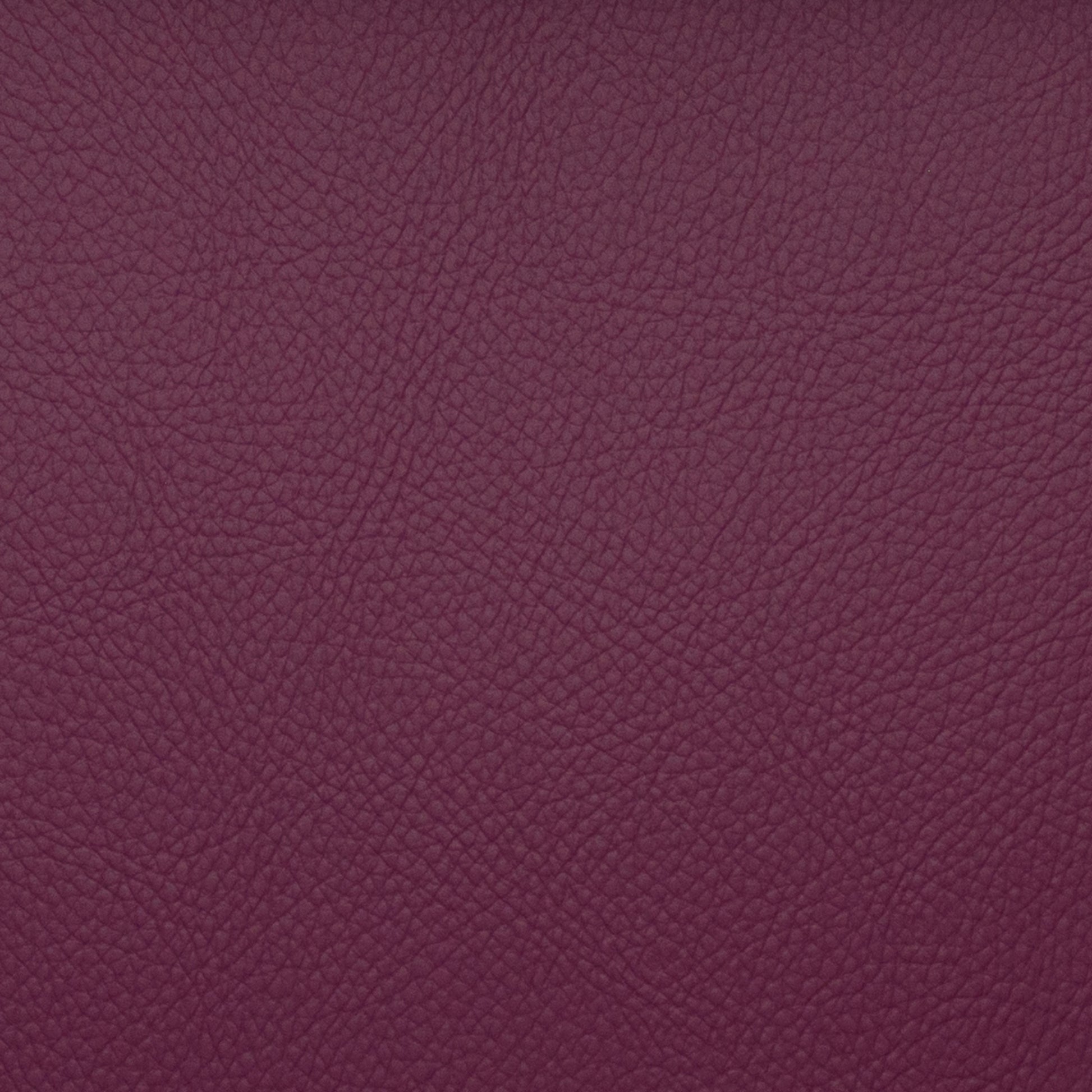 Voyager Beet - Fabricforhome.com