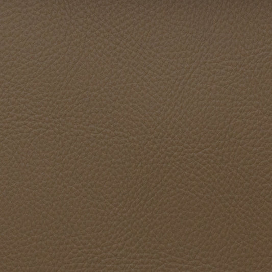 Voyager Bison - Fabricforhome.com