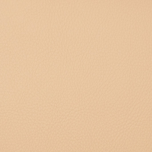 Voyager Chickpea - Fabricforhome.com