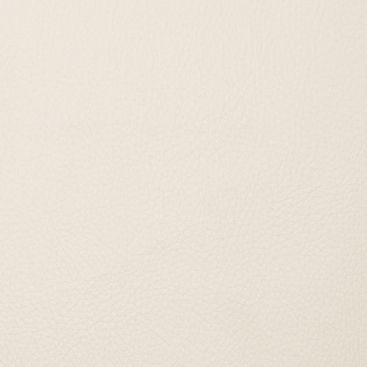 Voyager Coconut - Fabricforhome.com