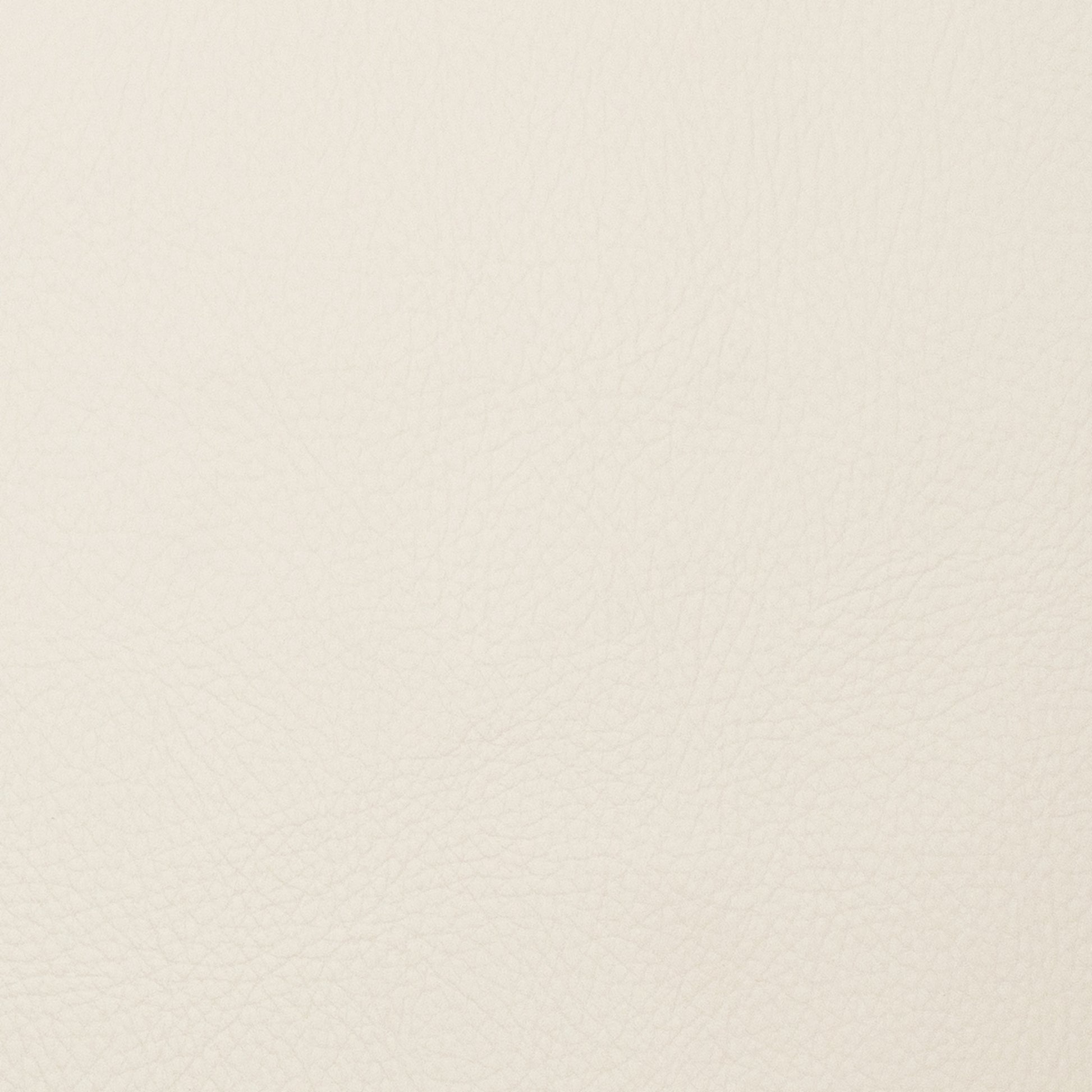 Voyager Coconut - Fabricforhome.com