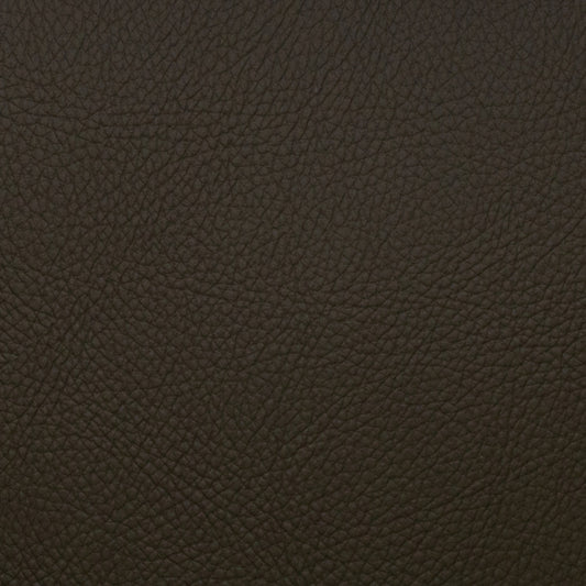 Voyager Hunter - Fabricforhome.com