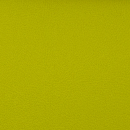Voyager Key Lime