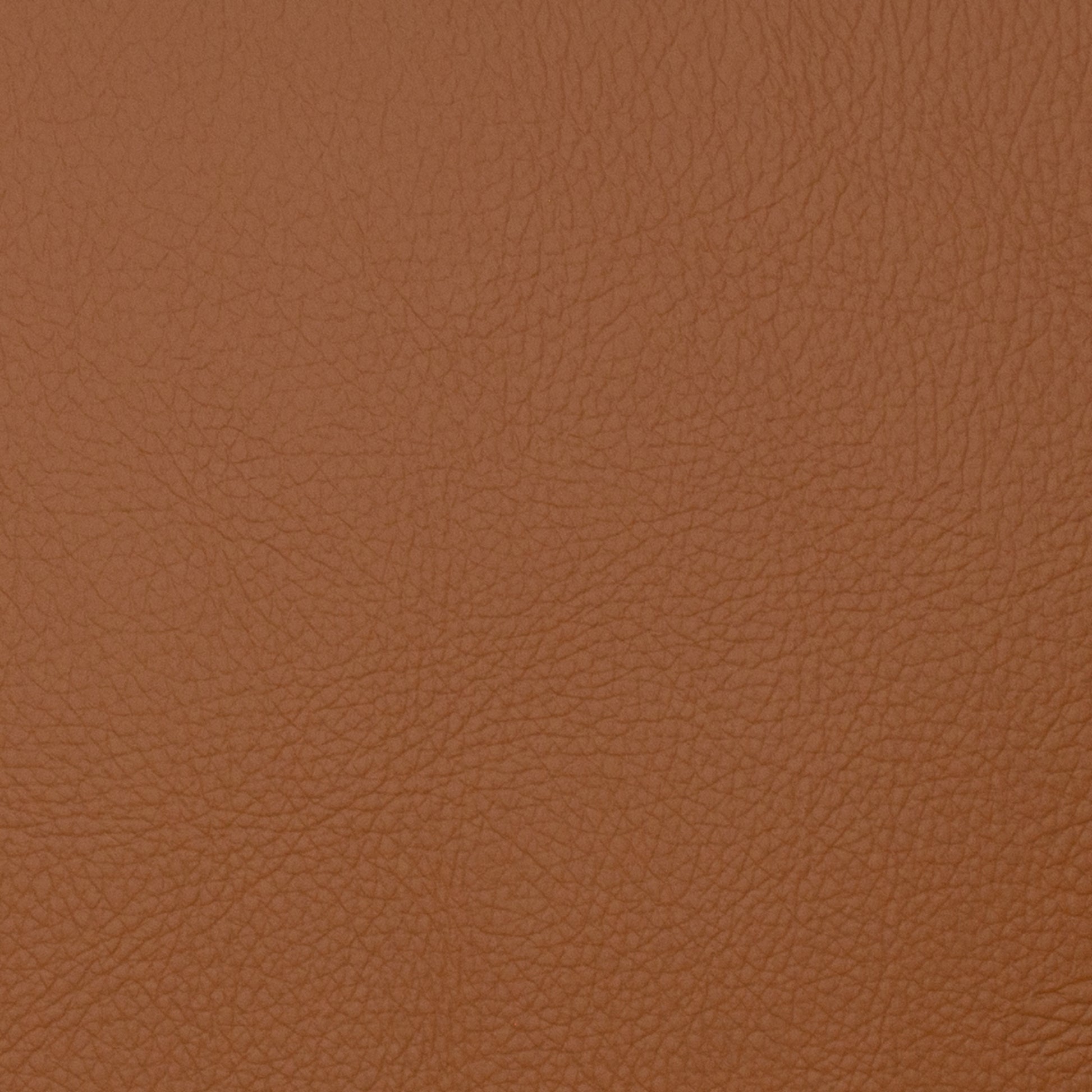 Voyager Maple - Fabricforhome.com