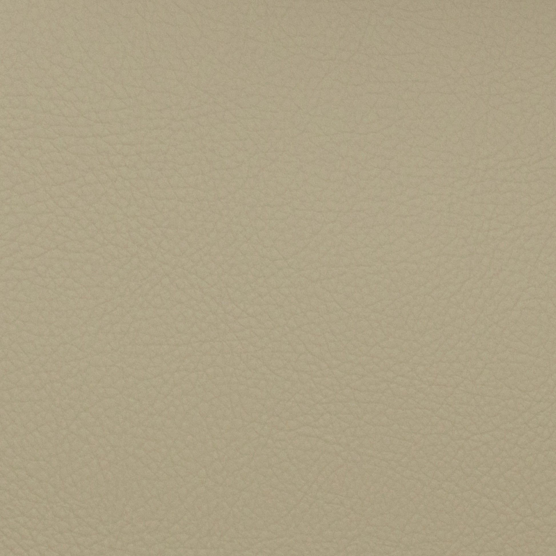 Voyager Mushroom - Fabricforhome.com