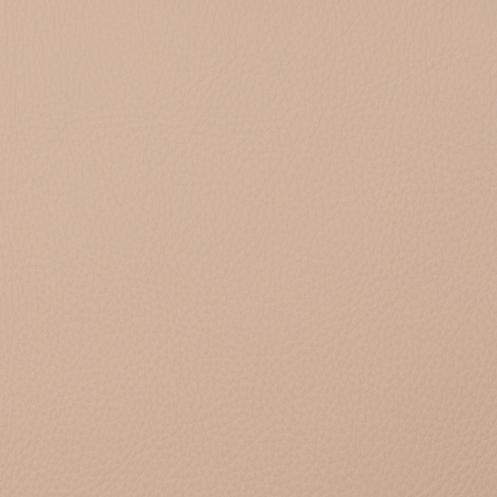 Voyager Nougat - Fabricforhome.com