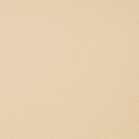 Voyager Parsnip - Fabricforhome.com