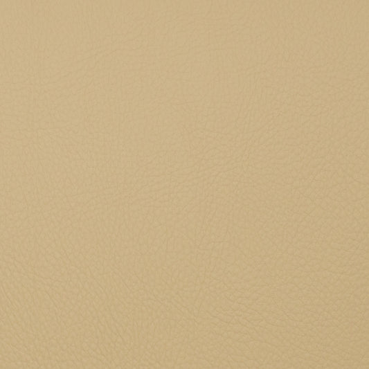 Voyager Sand