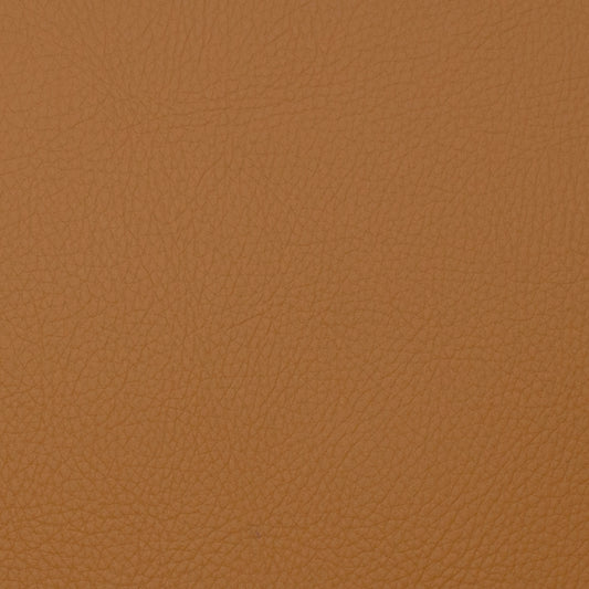 Voyager Toast - Fabricforhome.com