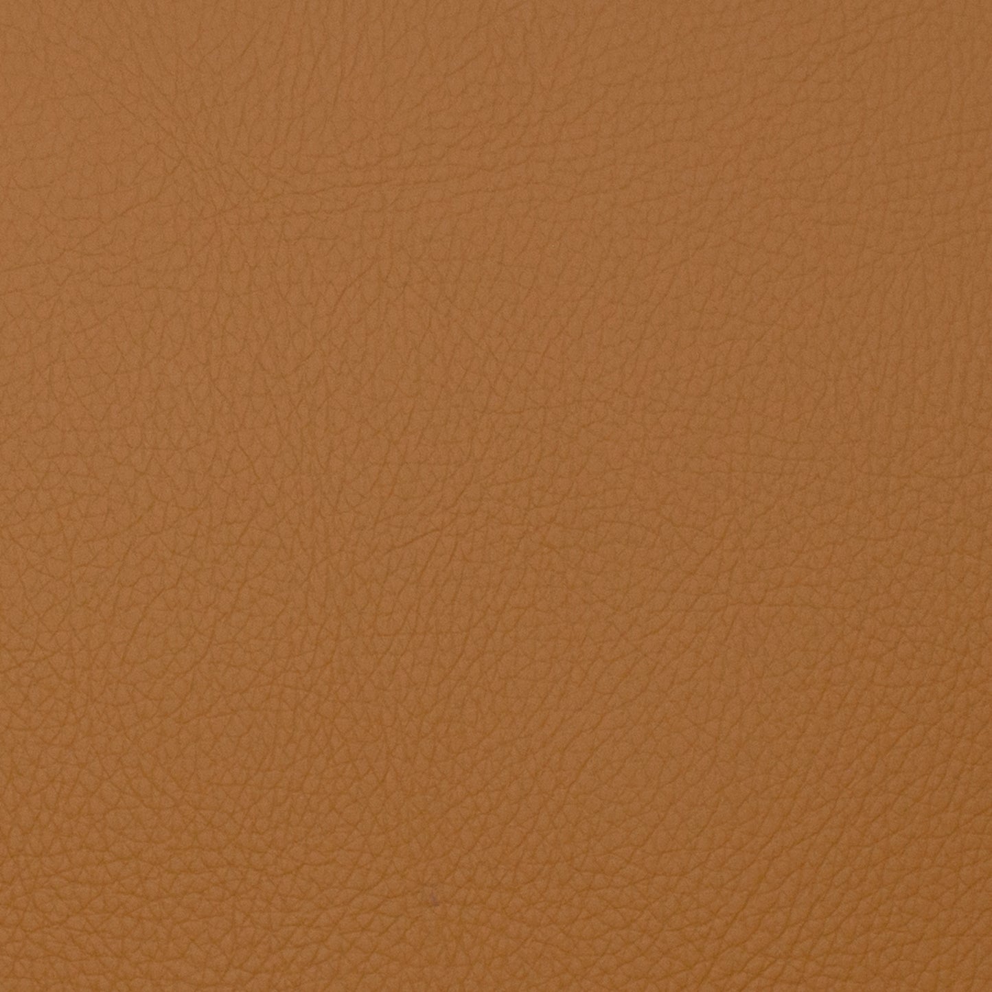 Voyager Toast - Fabricforhome.com