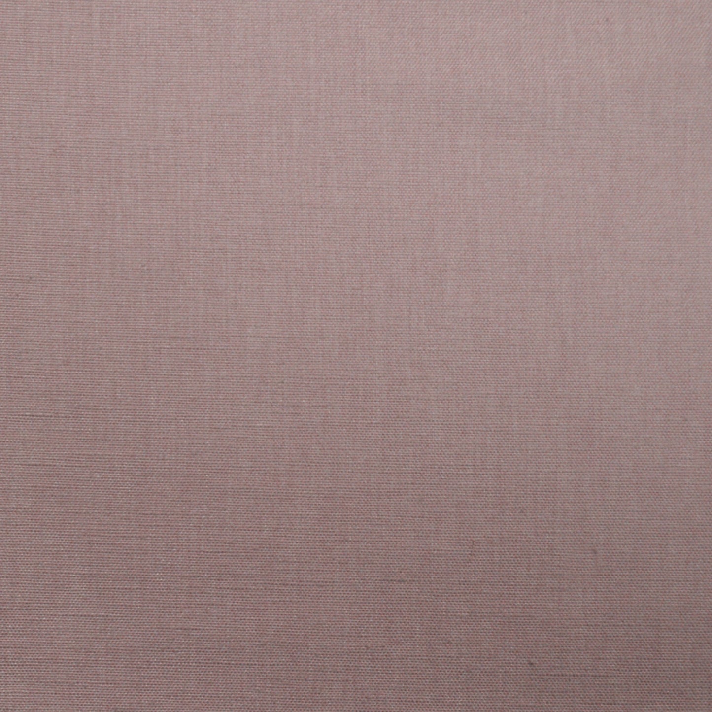 Wilkes Sweet Pea - Fabricforhome.com