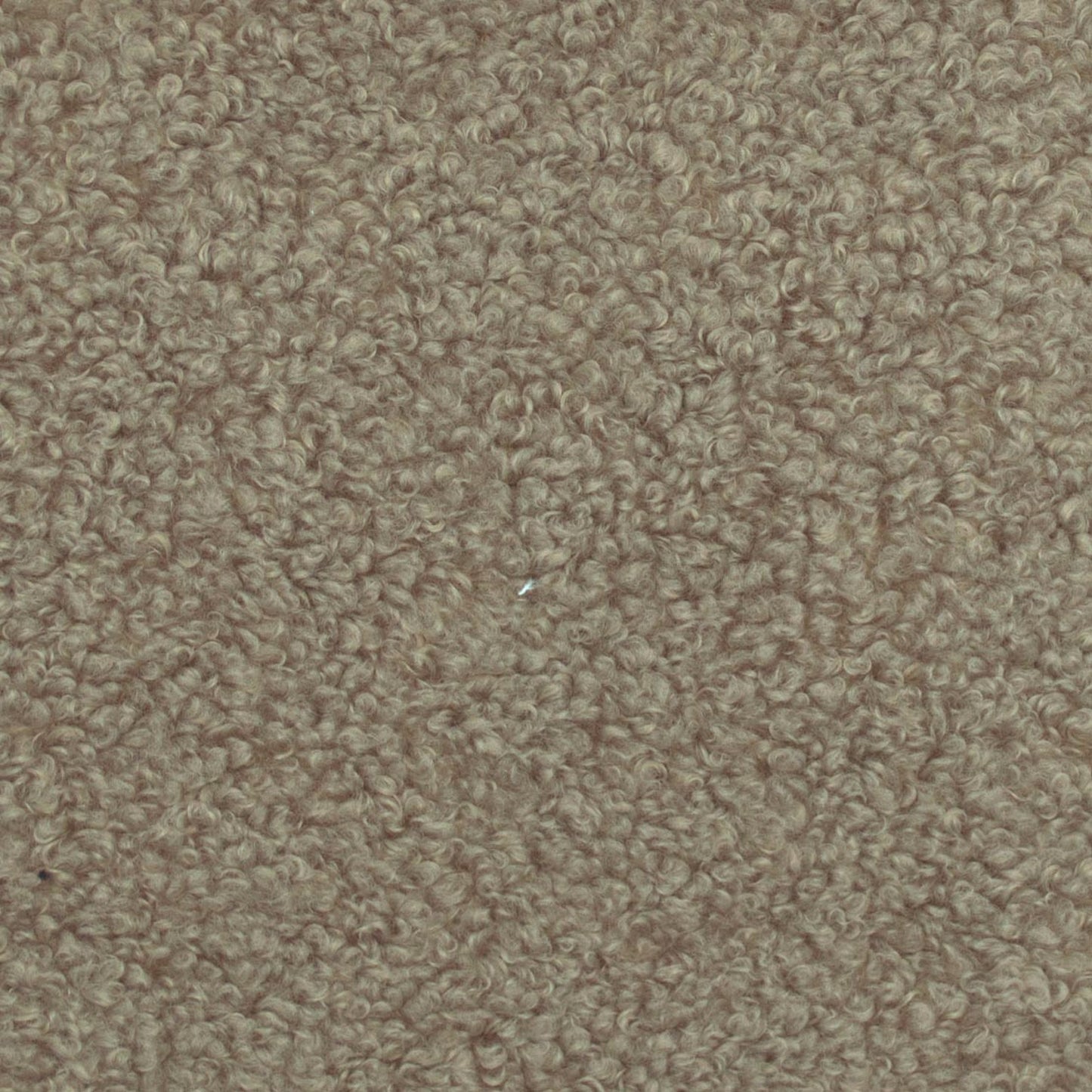 Winnie Steel - Fabricforhome.com