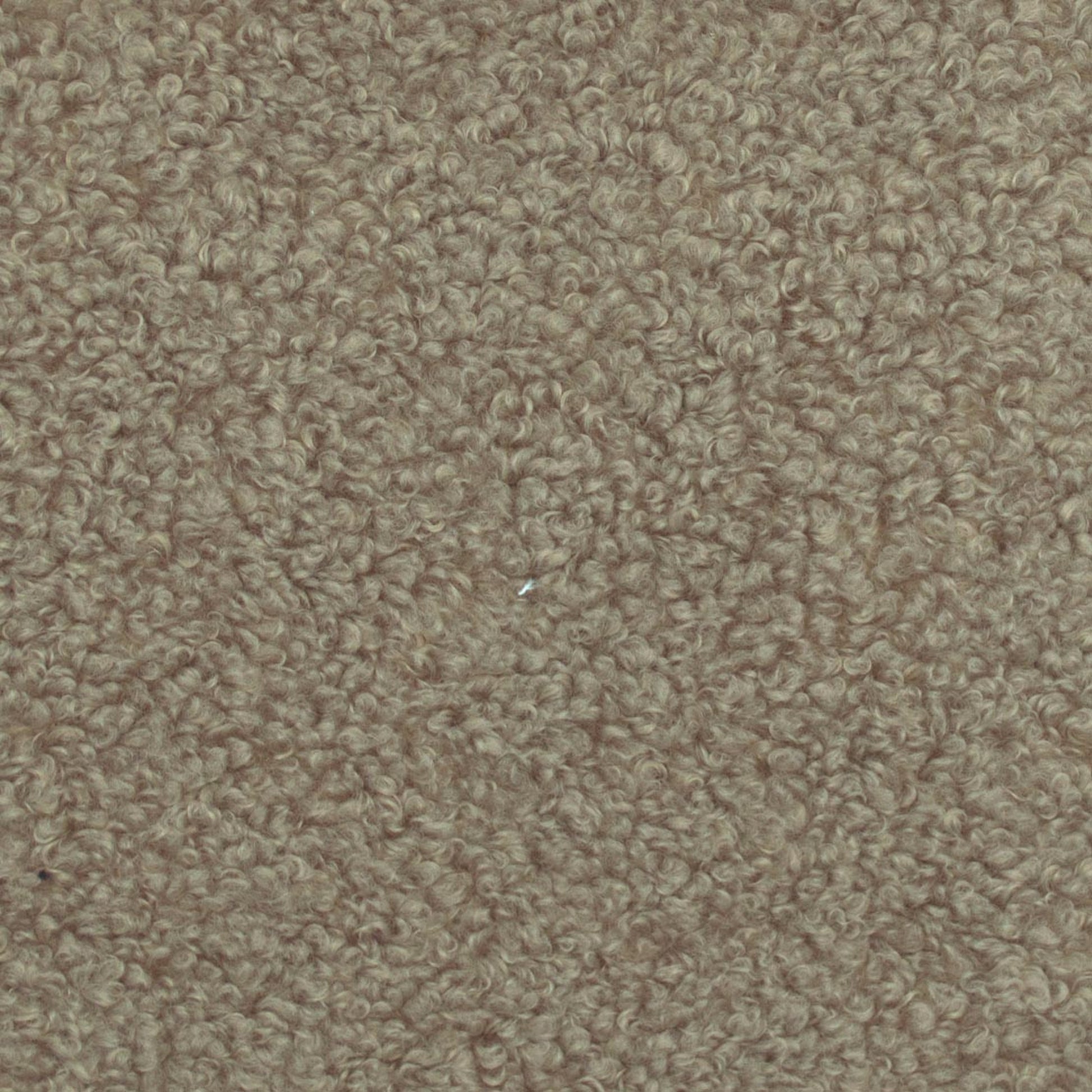 Winnie Steel - Fabricforhome.com